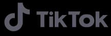 TikTok logo